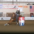 2016 Adult 2D Champions Ashley Hudson And G Babys Rockin 15.325