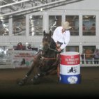 Guaranteed Race 3D Winners Sue Bologna And Timber Time Tommy 15.958