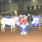 Sat. Open 4D Winners Carol Stanley & Stylish Connection 17.52