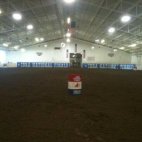 The Arena