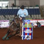 2018 Open 2D Champion Diana Hensley And Perks Baby Bug 15.535